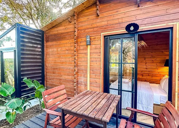 Evergreen 1Br Wood Cabin With Bassin & Terrace
